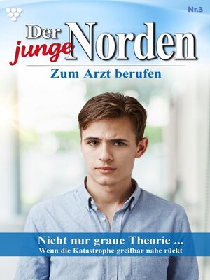 cover image of Nicht nur graue Theorie...